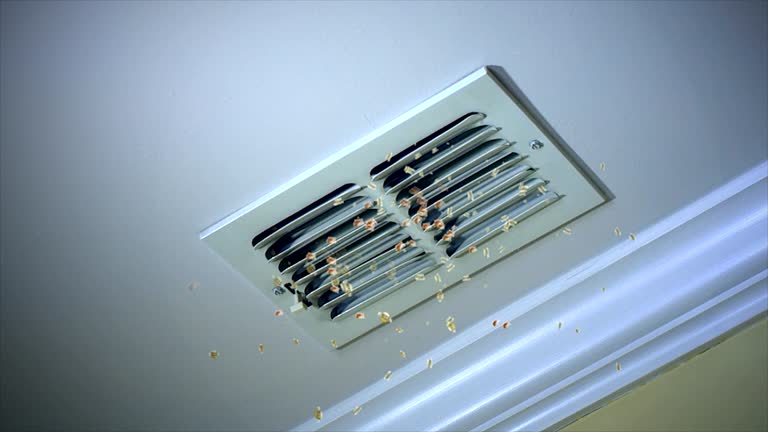 Best Air Duct Cleaning Near Me in Spring Hope, NC